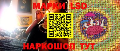 хмурый Кингисепп