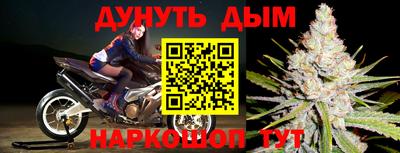 хмурый Кингисепп