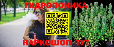spice Кинель
