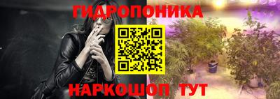 хмурый Кингисепп