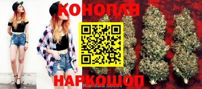 СК Кимры