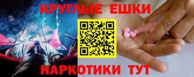 хмурый Кингисепп