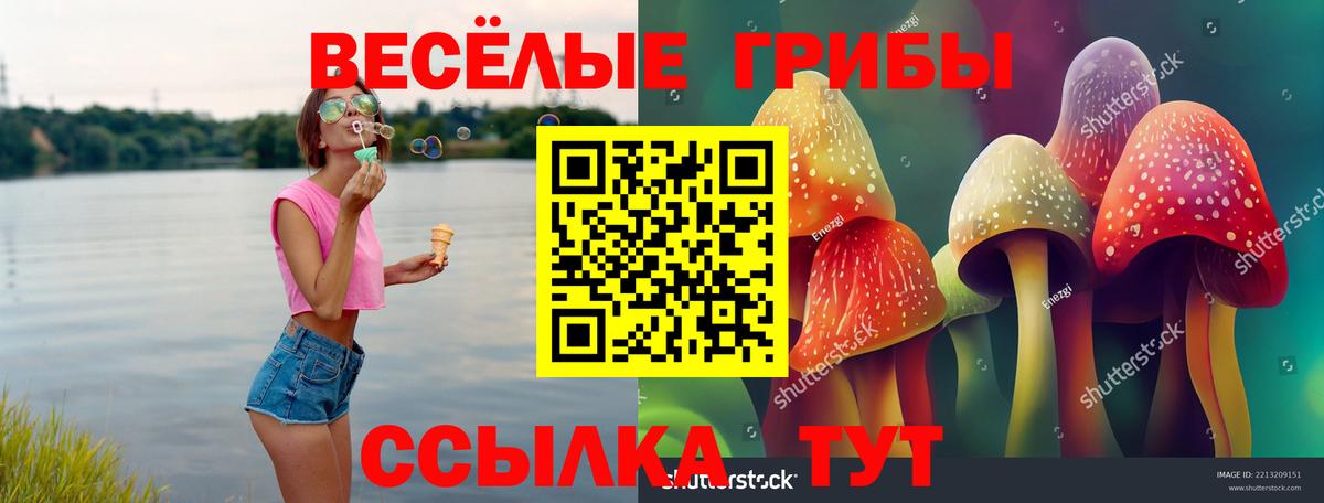 Галлюциногенные грибы ЛСД  Вход с VPN  Холмск 