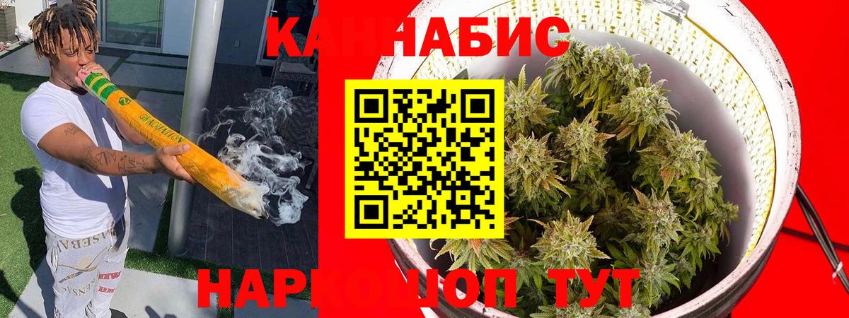 Каннабис конопля Холмск